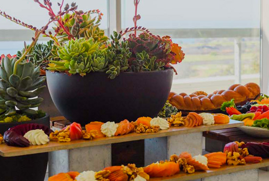 Food display, sandwiches, cheese plate